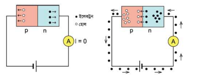 চিত্র 13.02 :n এবং p যুক্ত করে তৈরি করা ডায়োড। ব্যাটারি সেলের এক সংযোগে কন বিদ্যুৎ প্রবাহ হই না, অন্য সংযোগে বিদ্যুৎ প্রবাহ হয়